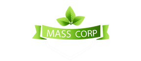 Mass Corporation logo